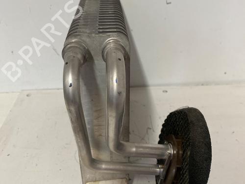 Evaporador aire acondicionado RENAULT SCÉNIC II (JM0/1_) 1.5 dCi (JM1E, JM16) | BP30674671M109
