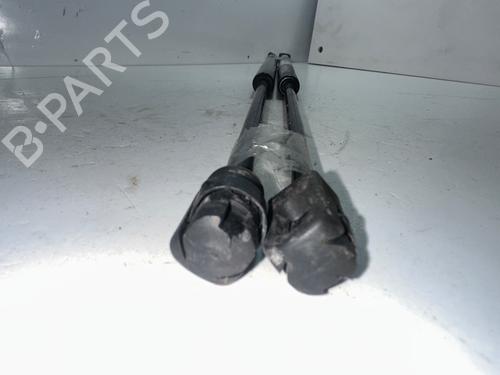 Tailgate lift support SEAT LEON (1M1)  | BP31579166C138 