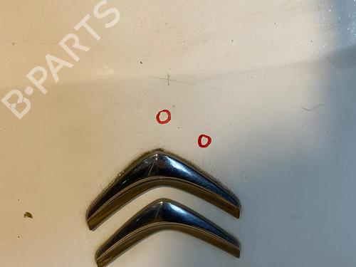 Right tailgate CITROËN BERLINGO MULTISPACE (B9) 1.6 HDi 90 | BP36323893C77 - Image 4