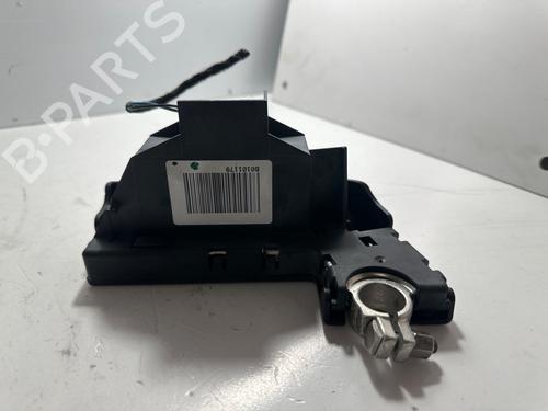 Used Electronic module AUDI A5 (8T3) 2.0 TDI (177 hp) 29956096