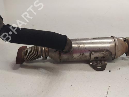 Egr CITROËN XSARA (N1)  | BP25405688M69 