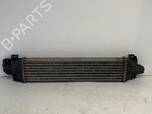 Intercooler FORD FOCUS II (DA_, HCP, DP) | BP32736821M30 - Image 3