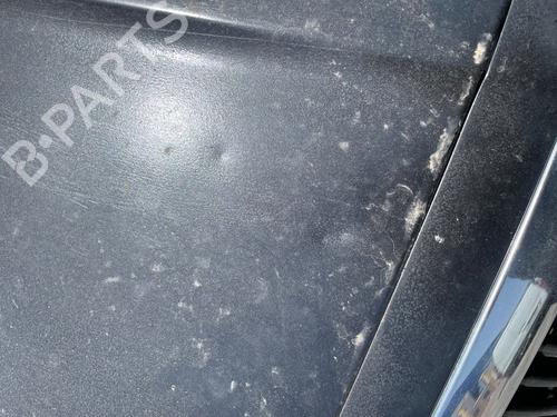 Used Hood Hood SKODA SUPERB I (3U4) 1.9 TDI (105 hp) 33219256 33219256