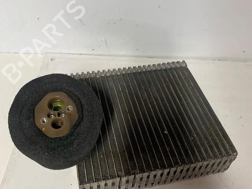 Evaporador aire acondicionado RENAULT SCÉNIC II (JM0/1_) 1.5 dCi (JM1E, JM16) | BP30674671M109