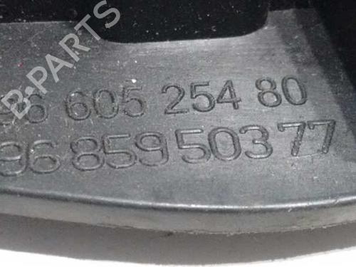 Front left interior door handle CITROËN C4 II (NC_) 1.6 HDi 115 | BP20695577I13 