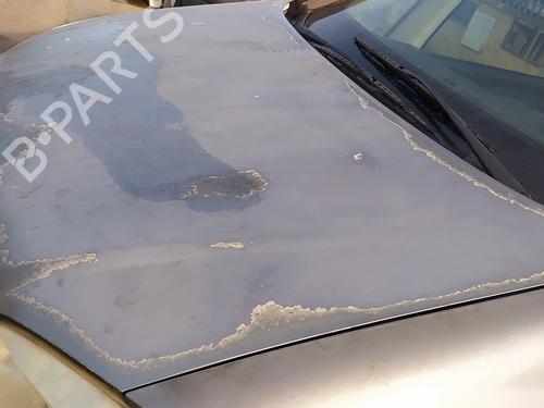 Hood OPEL ZAFIRA A MPV (T98)  | BP23434285C1 