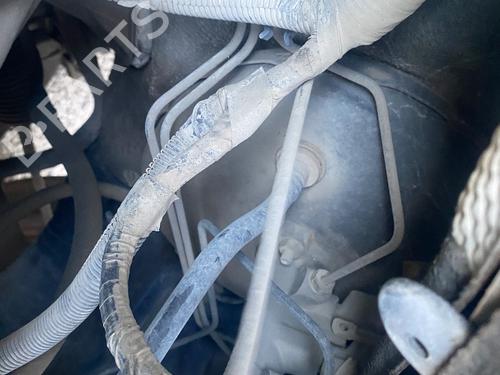 Used Servo brake Servo brake FORD FOCUS I Saloon (DFW) 1.6 16V (100 hp) 36409396 36409396