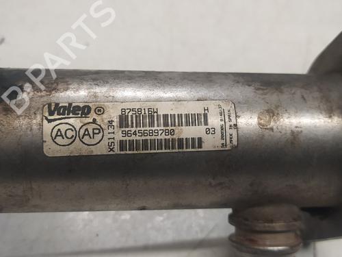 Egr CITROËN C5 II (RC_) 2.0 HDi (RCRHRH) | BP23991836M69 
