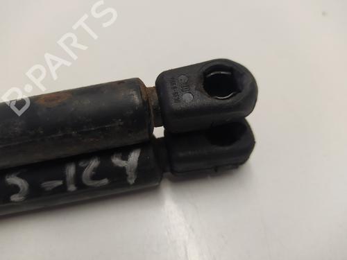 Tailgate lift support AUDI A6 C5 (4B2) 2.5 TDI quattro | BP23570127C138 