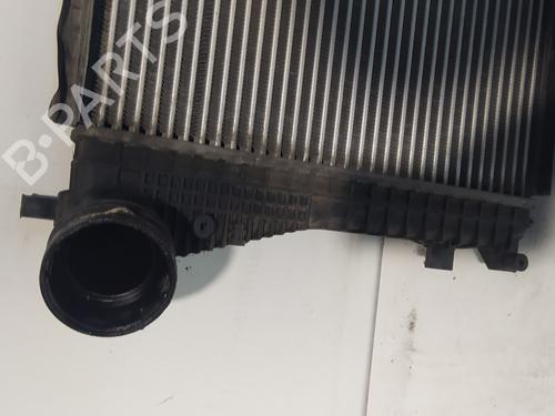 Intercooler SKODA OCTAVIA II (1Z3)  | BP27185218M30 