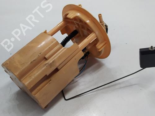 Fuel pump PEUGEOT 307 (3A/C)  | BP29319776M76 