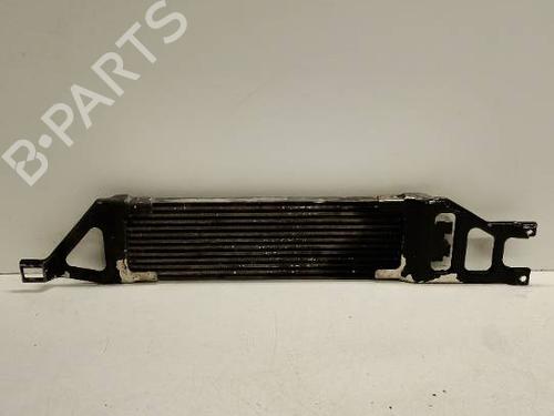 Used Oil radiator Oil radiator MERCEDES-BENZ A-CLASS (W169) A 180 CDI (169.007, 169.307) (109 hp) 40007018 40007018