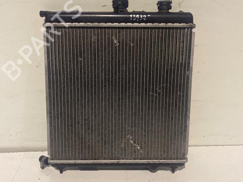 Used Water radiator PEUGEOT 207 (WA_, WC_) [2006-2015]  32102936