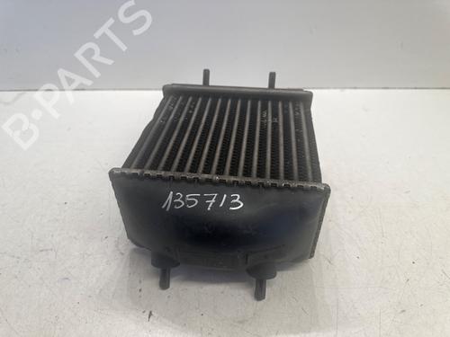 Ladeluftkühler RENAULT SCÉNIC I MPV (JA0/1_, FA0_) 1.9 dCi (JA05, JA1F) | BP29080281M30 