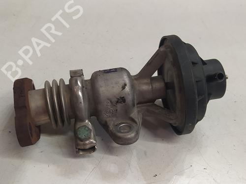 Egr SEAT CORDOBA (6L2)  | BP24457246M69 