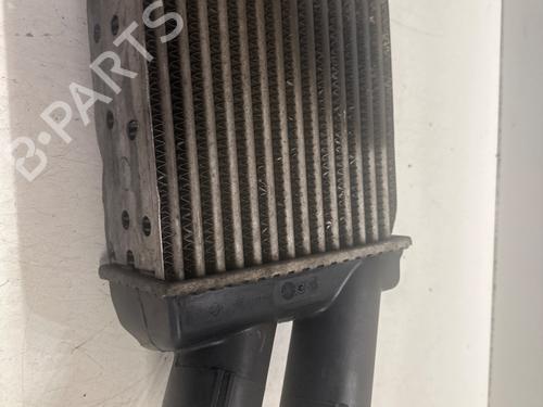 Intercooler RENAULT SCÉNIC I MPV (JA0/1_, FA0_) 1.9 dCi (JA05, JA1F) (102 hp) 29080281