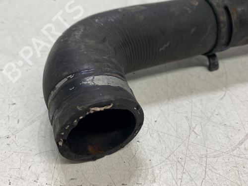Pipe RENAULT LAGUNA II (BG0/1_) | BP33220591M125 - Image 4