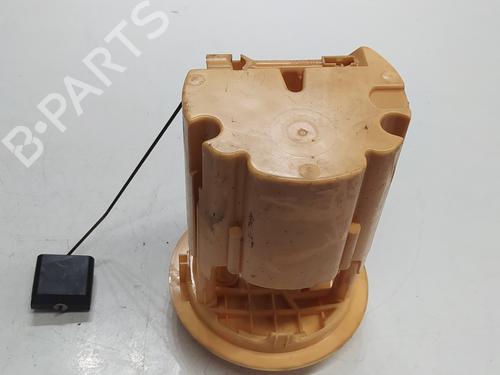 Fuel pump PEUGEOT 307 (3A/C)  | BP29319776M76 