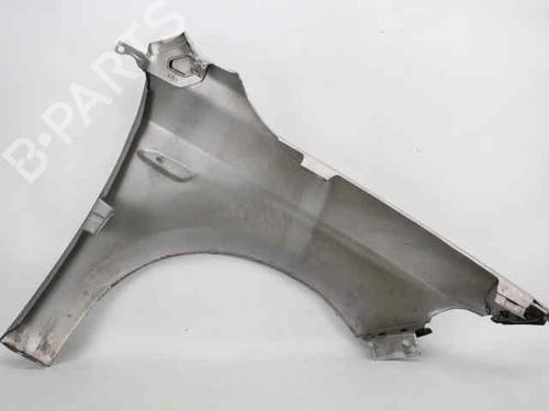 Left front fenders FIAT TIPO Hatchback (356_, 357_) 1.3 D (356HXH1A) | BP26226135C41 