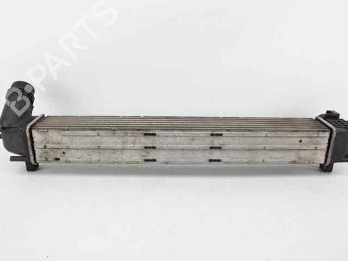 Intercooler RENAULT MEGANE III Coupe (DZ0/1_) 1.5 dCi (DZ09, DZ0D, DZ1F, DZ1G, DZ14, DZ29) | BP19242615M30