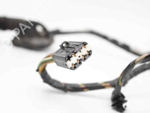 Wiring harness FORD FOCUS C-MAX (DM2)  | BP19221757E16 