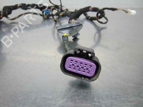 Wiring harness FIAT STILO (192_) 1.2 16V (192_XA1B) | BP19195815E16 