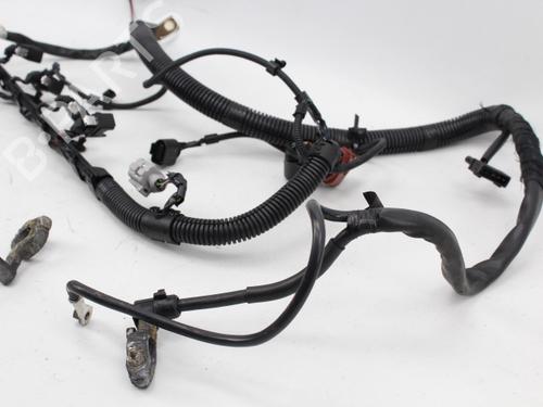 Wiring harness SEAT CORDOBA Vario (6K5)  | BP19207310E16 
