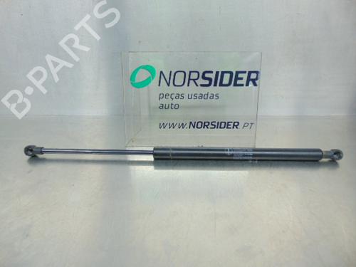 Used Hood lift support CITROËN XSARA (N1) 1.9 TD (90 hp) 19192947