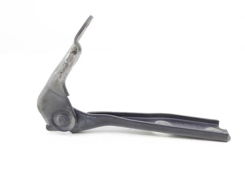 Hinge/Door check strap AUDI A3 (8L1)  | BP19212036C146 