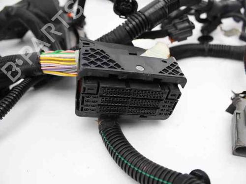 Wiring harness CITROËN BERLINGO Box Body/MPV (B9) 1.6 BlueHDi 100 | BP21601020E16 