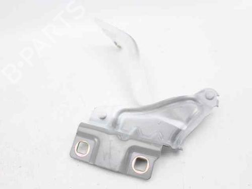 Hinge/Door check strap RENAULT MEGANE IV Grandtour (K9A/M/N_) 1.5 dCi 110 | BP29143723C146 