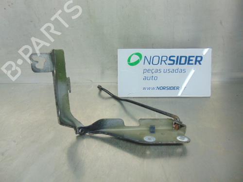 Used Hinge/Door check strap CITROËN C3 I (FC_, FN_) 1.1 i (60 hp) 19194909