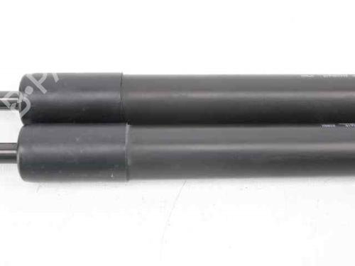 Tailgate lift support RENAULT CLIO IV (BH_) 1.2 16V | BP19225407C138 