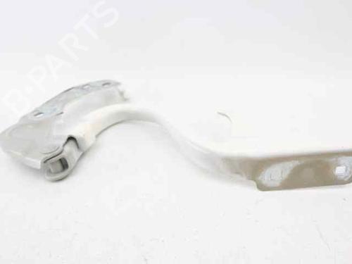 Hinge/Door check strap FIAT 500 (312_) 1.2 (312AXA1A) | BP29986849C146