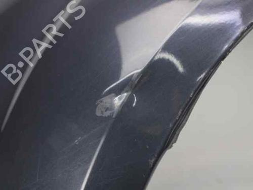 Left front fenders FORD S-MAX (WA6)  | BP19242178C41 