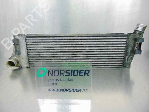 Intercooler RENAULT SCÉNIC II (JM0/1_) 1.5 dCi (JM1E, JM16) (106 hp) 19192008