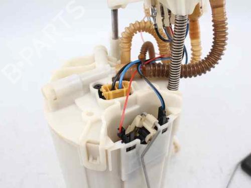 Fuel pump AUDI A4 B8 (8K2)  | BP19245963M76 