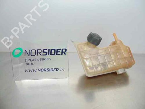 Used Expansion tank RENAULT GRAND SCÉNIC II (JM0/1_) 1.5 dCi (JM02, JM13) (101 hp) 19191966