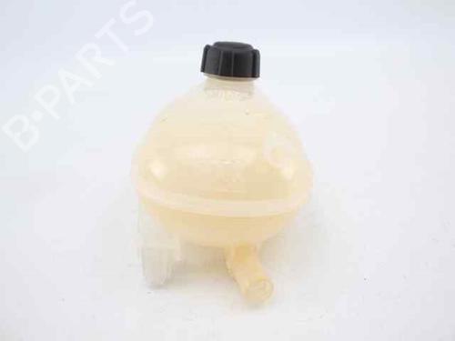 Expansion tank RENAULT CAPTUR II (HF_)  | BP19228618C120 