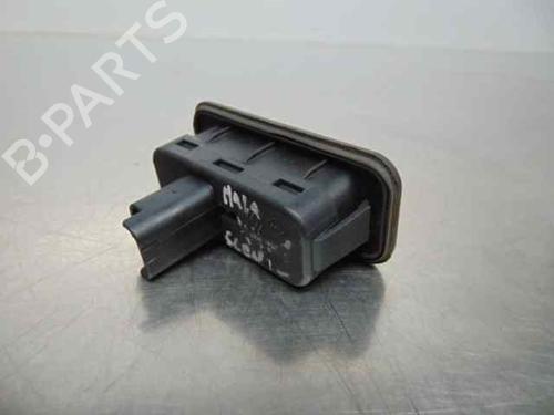 Tailgate handle RENAULT SCÉNIC II (JM0/1_) 1.5 dCi (JM02, JM13) | BP19193684C132 