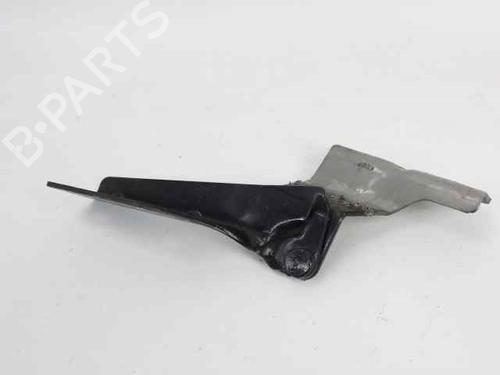 Hinge/Door check strap RENAULT MEGANE II Estate (KM0/1_) 1.5 dCi (KM16, KM1E) | BP19204298C146 