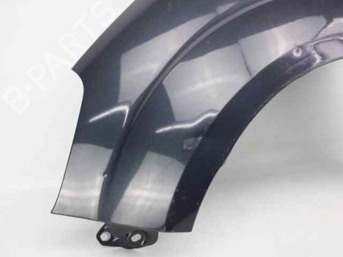 Left front fenders FORD S-MAX (WA6)  | BP19242178C41 