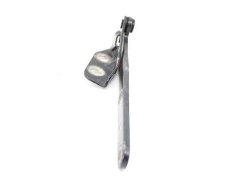 Hinge/Door check strap LAND ROVER FREELANDER I (L314)  | BP19227815C146 