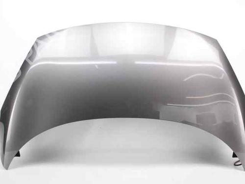 Used Hood RENAULT SCÉNIC III (JZ0/1_) 1.5 dCi (110 hp) 24577065