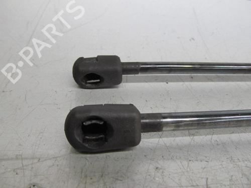 Hood lift support MERCEDES-BENZ S-CLASS (W220)  | BP19187538C139 