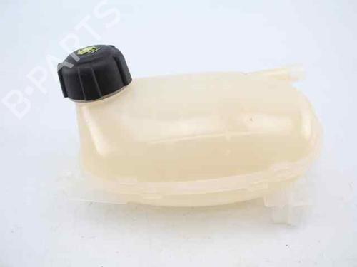 Used Expansion tank RENAULT CAPTUR II (HF_) [2020-2025]  19228618