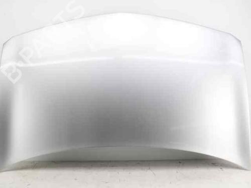 Used Hood RENAULT MEGANE II (BM0/1_, CM0/1_) 1.5 dCi (BM1E, CM1E) (106 hp) 19235920