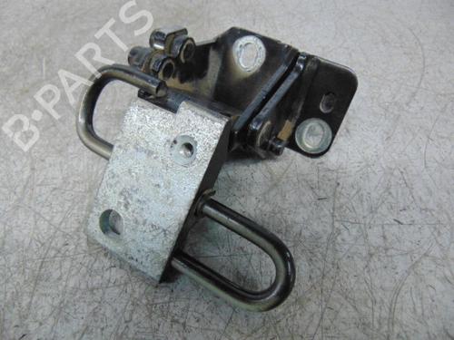 Hinge/Door check strap VW POLO (9N_, 9A_)  | BP19188932C146 