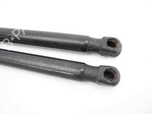 Tailgate lift support FORD FOCUS III  | BP19234810C138 