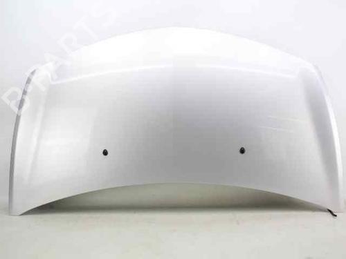 Used Hood RENAULT CLIO III (BR0/1, CR0/1) 1.5 dCi (88 hp) 19785660